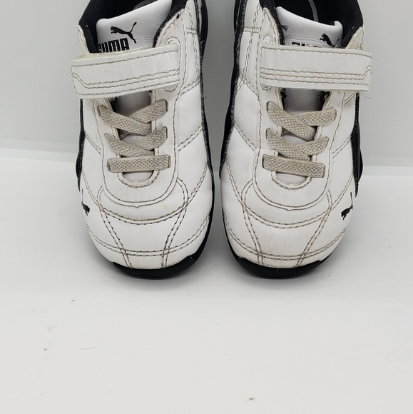 Pumas - Picture 3 of 9